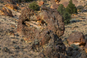 Timber Gulch