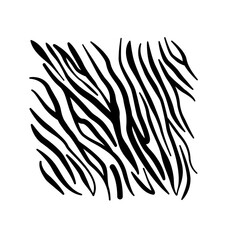 black and white zebra pattern