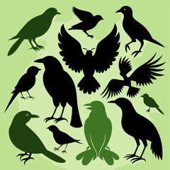 silhouettes of birds