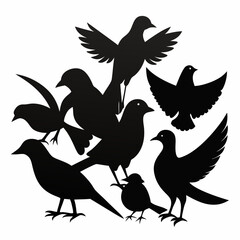 silhouettes of birds