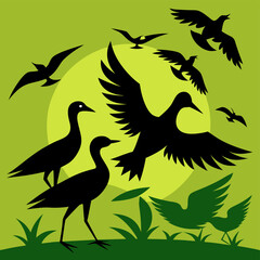 silhouettes of birds