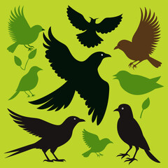 silhouettes of birds