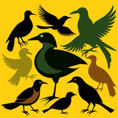 Fototapeta premium silhouettes of birds