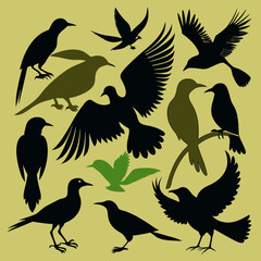 silhouettes of birds