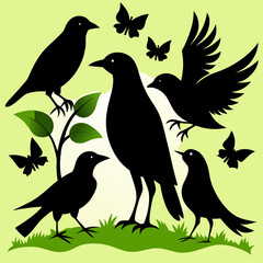 silhouettes of birds