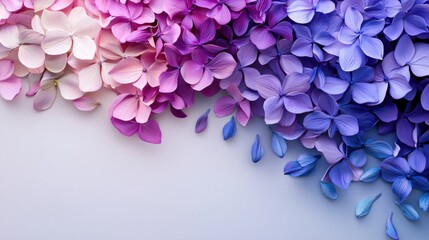 Obraz premium Colorful Petal Arrangement with Pink and Purple Flowers on Background