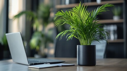 A wide shot of a workspace with an HR professional reviewing job applications on a laptop, with resumes printed out and a phone in the background