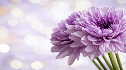 Obraz premium A bunch of purple flowers sitting on top of a table