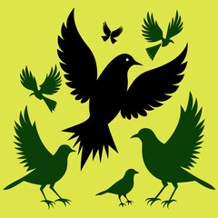 Obraz premium silhouettes of birds