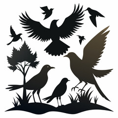 Obraz premium silhouettes of birds