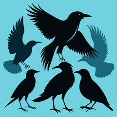 silhouettes of birds