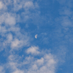 moon in the morning sky