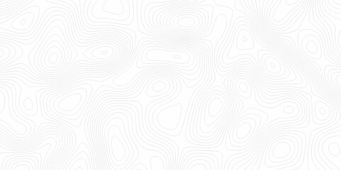 White topography topology vector white background fresh contour map texture. white seamless pattern Abstract background with a wave Topography and geography map grid abstract backdrop.