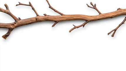 A photostock of natural wooden tree branches with rough textures, isolated on a clean white background, rustic and detailed, High Quality