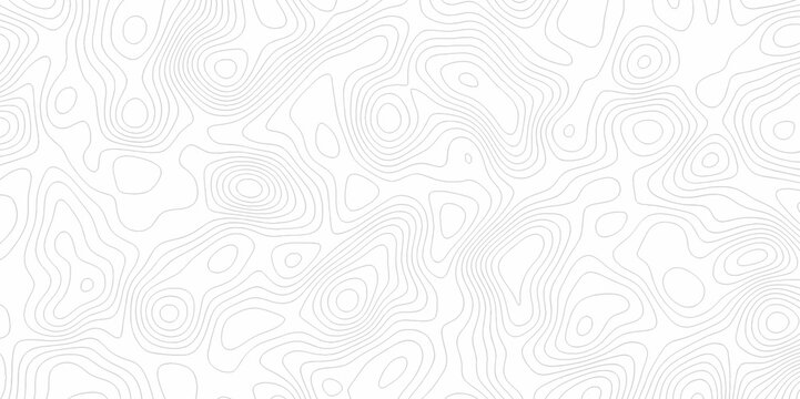 White topography topology vector white background fresh contour map texture. white seamless pattern wave Topography and geography map grid abstract backdrop.