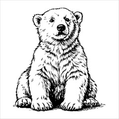 A polar bear is sitting on the ground