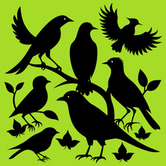 birds on a branch