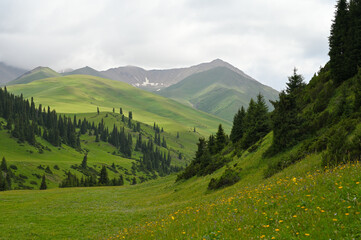 Mountains views of meadows and rivers on a summer cloudy day , Kazakhstan, Kegen, Aktas mount, Tekes river.