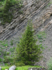 Mountains views of meadows and rivers on a summer cloudy day , Kazakhstan, Kegen, Aktas mount, Tekes river.