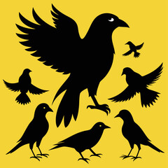 Fototapeta premium birds on a branch