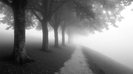 A serene, foggy path lined with trees, evoking a sense of mystery and tranquility.