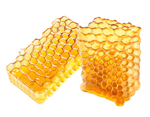 honeycomb with honey
