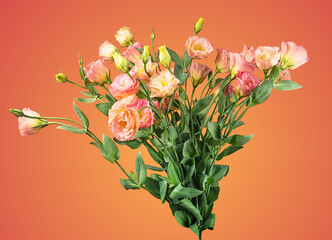 Flowers bouquet eustoma champagne