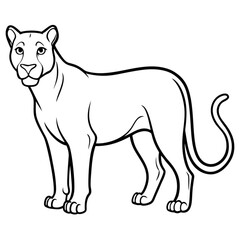A tiger line art