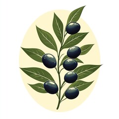 Olive branch with dark ripe olives and green leaves