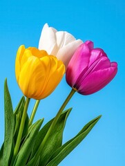 Obraz premium A photostock of spring flowers blooming under a bright blue sky with soft sunlight illuminating the colorful petals. High Quality
