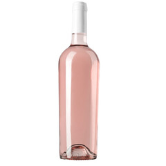 Bottles of white and red wines isolated on white