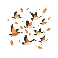 flock of geese flying south in the fall flat vector