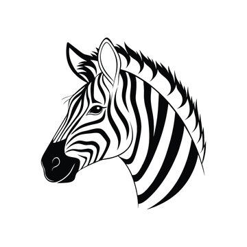A "Zibra head vector" is a stylized, scalable graphic of a zebra's head created using vector graphics.