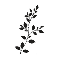 Elegant Silhouette Of A Black And White leaves Vector Illustration