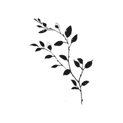 Elegant Silhouette Of A Black And White leaves Vector Illustration