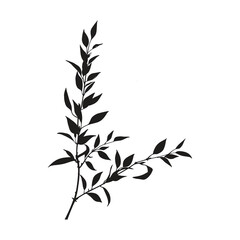 Elegant Silhouette Of A Black And White leaves Vector Illustration