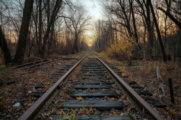 Obraz premium Abandoned Railroad Tracks Through Autumn Woods