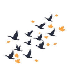  minimalist vector of flock of geese flying south in the fall