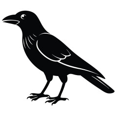 0e441dc6-4d05-4b28-b776-9dcf528e2129_svg.eps