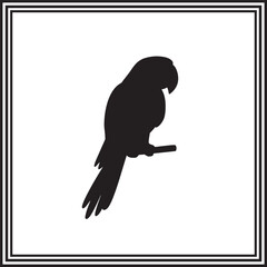 A cute Macaw bird silhouette illustration