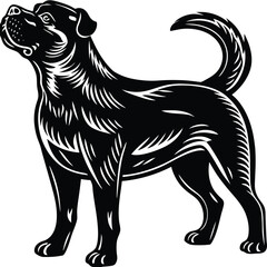 068b0be8-d61a-4459-a57e-ddc450534a0b_svg.eps