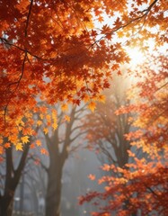 Sunlit maple branch laden with fiery autumn leaves , october, autumn, orange