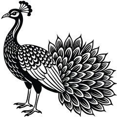 3600b6d4-a4b5-4b06-88fe-3252f2951ee0_svg.eps