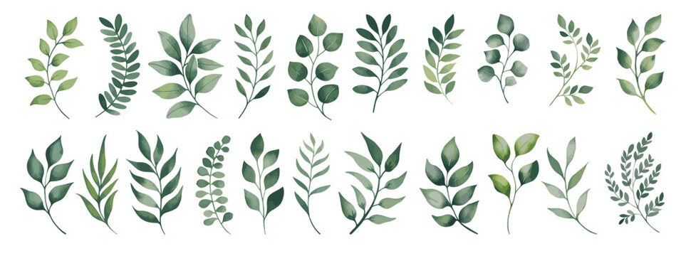 Watercolor hand drawn floral set. Hand-drawn Watercolor flowers and leaves.