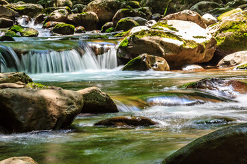 A stream of water flows over rocks in a forest