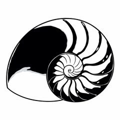 Obraz premium shell vector