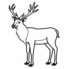 deer illustration