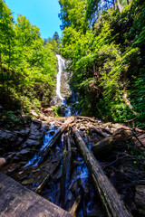 A waterfall is seen in the distance with a forest in the background