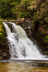 Fototapeta premium A waterfall is flowing into a river