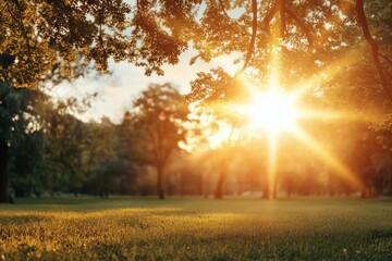 Sunlight shines through trees in a tranquil park during a warm afternoon in late summer